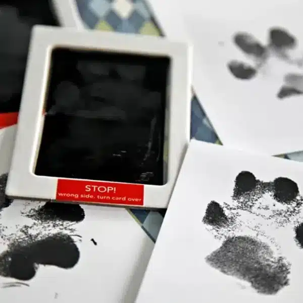 Paw Print Ink Set - Image 3