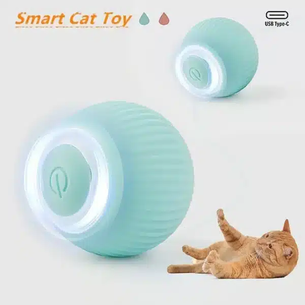 Smart Cat Rolling Ball - Image 2