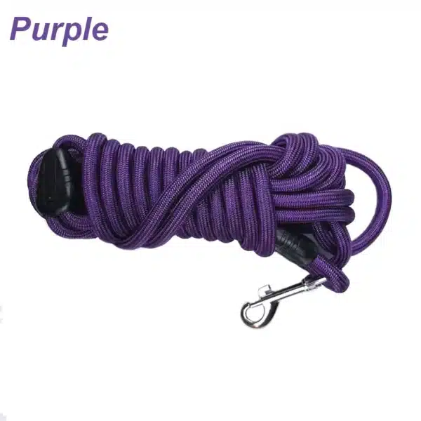 Heavy-Duty Nylon Training Dog Leash - Image 10