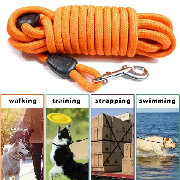 Heavy-Duty Nylon Training Dog Leash - Image 6