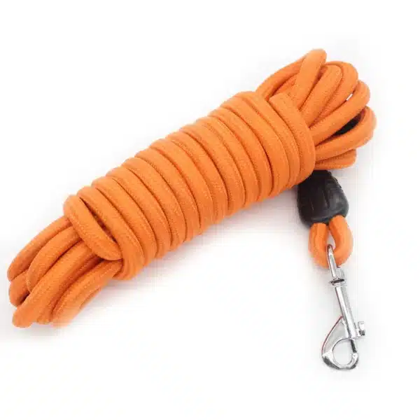 Heavy-Duty Nylon Training Dog Leash - Image 3