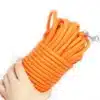 Heavy-Duty Nylon Training Dog Leash - Image 4